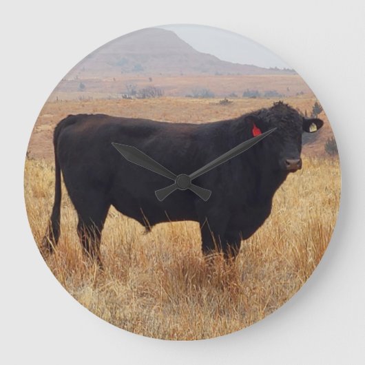 Black Angus Steer Grazing met zijn herd Grote Klok (Voorkant)