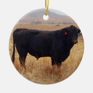 Black Angus Steer Grazing met zijn herd Keramisch Ornament