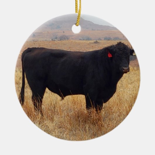 Black Angus Steer Grazing met zijn herd Keramisch Ornament (Voorkant)
