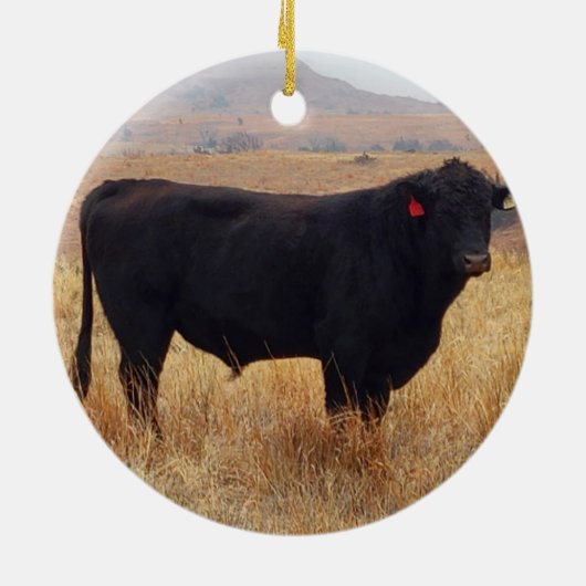 Black Angus Steer Grazing met zijn herd Keramisch Ornament (Achterkant)