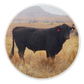 Black Angus Steer Grazing met zijn herd Keramische Knop (Voorkant)