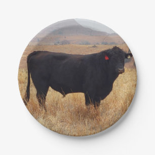 Black Angus Steer Grazing met zijn herd Papieren Bordje