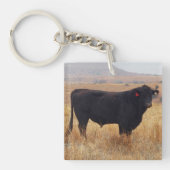 Black Angus Steer Grazing met zijn herd Sleutelhanger (voorkant)
