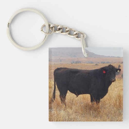 Black Angus Steer Grazing met zijn herd Sleutelhanger (voorkant)