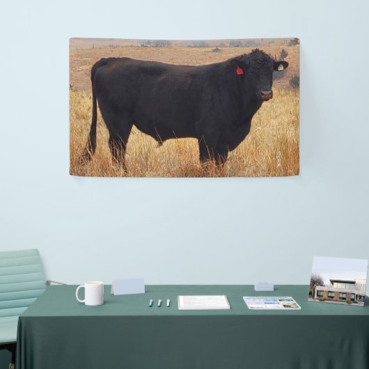 Black Angus Steer Grazing met zijn herd Spandoek (Beurs)