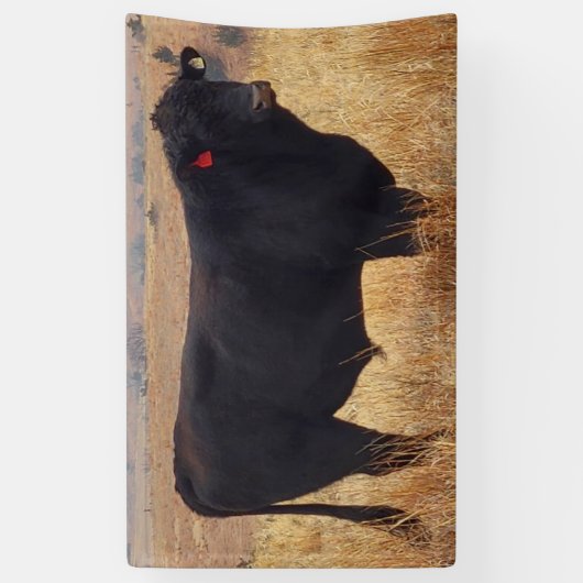 Black Angus Steer Grazing met zijn herd Spandoek (Verticaal)