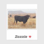 Black Angus Steer Grazing met zijn herd Sticker (Vel)