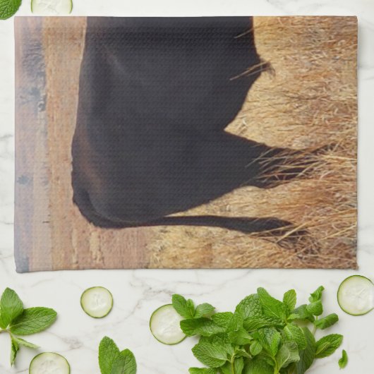 Black Angus Steer Grazing met zijn herd Theedoek (Gevouwen)