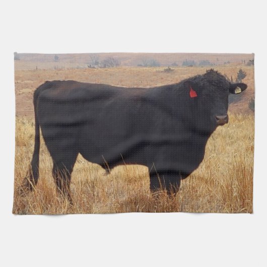 Black Angus Steer Grazing met zijn herd Theedoek (Horizontaal)