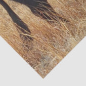 Black Angus Steer Grazing met zijn herd Tissuepapier (Detail)