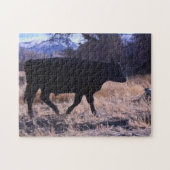 Black Angus Steer Legpuzzel (Horizontaal)