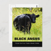 Black Angus Steer - Voeg uw naam van de Rangschaal Briefkaart (Voorkant / Achterkant)