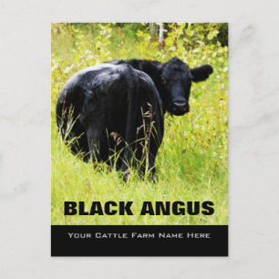 Black Angus Steer - Voeg uw naam van de Rangschaal Briefkaart