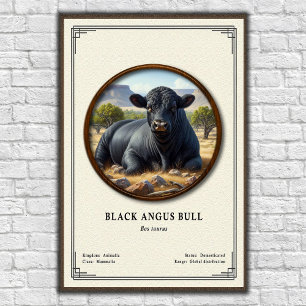 Black Angus Stier Zoologie Serie Poster