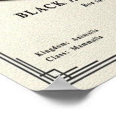 Black Angus Stier Zoölogische Serie Poster (Hoek)