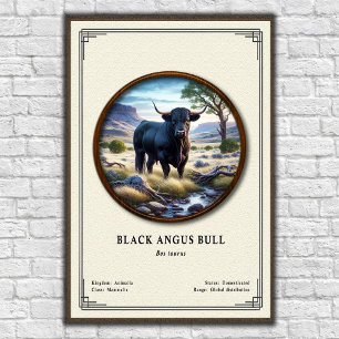 Black Angus Stier Zoölogische Serie Poster