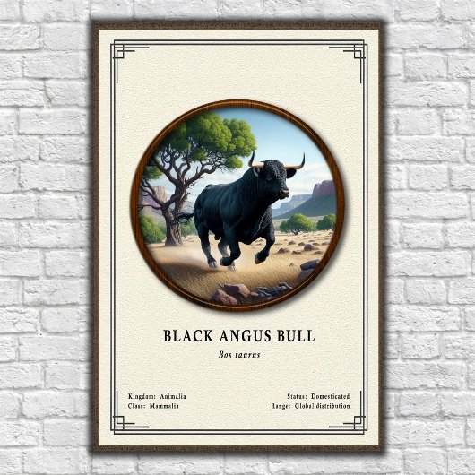 Black Angus Stier Zoölogische Serie Poster