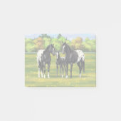 Black Appaloosa Horses In Summer Pasture Post-it® Notes (Voorkant)