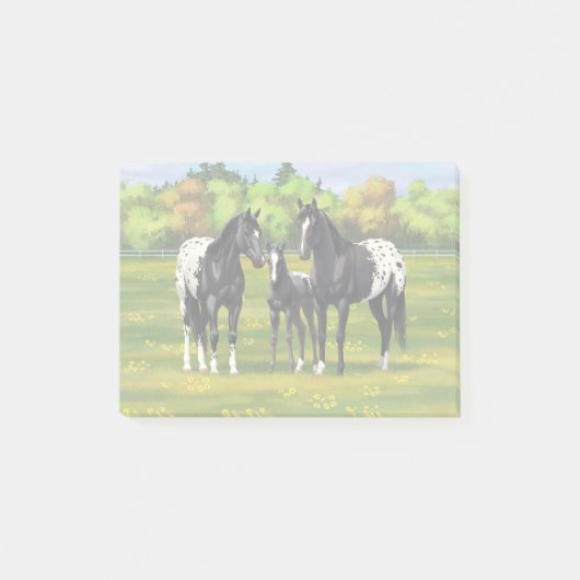 Black Appaloosa Horses In Summer Pasture Post-it® Notes (Voorkant)
