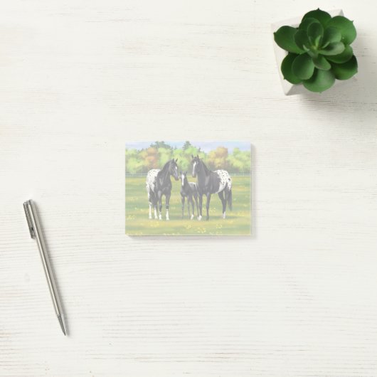 Black Appaloosa Horses In Summer Pasture Post-it® Notes (Kantoor)