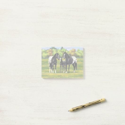 Black Appaloosa Horses In Summer Pasture Post-it® Notes (Op bureau)