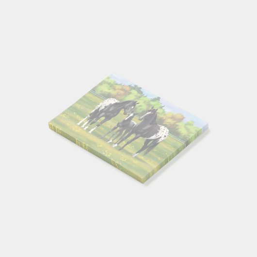 Black Appaloosa Horses In Summer Pasture Post-it® Notes (Schuin)