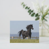 Black Arab Stallion Running Mane Flow Briefkaart (Staand voorkant)
