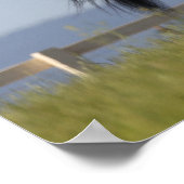 Black Arab Stallion Running Mane Flow Poster (Hoek)