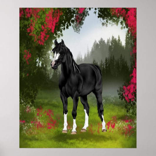 Black Arabian Horse in Spring Meadow Poster (Voorkant)