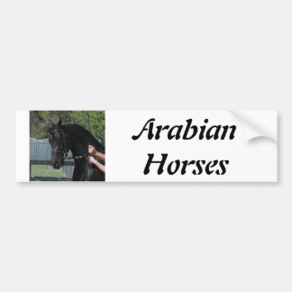Black Arabian Sport Horse in Hand Bumpersticker