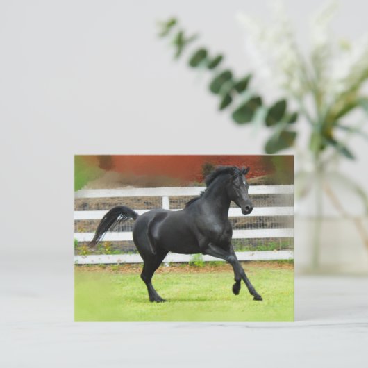 Black Arabian Stallion Briefkaart (Staand voorkant)