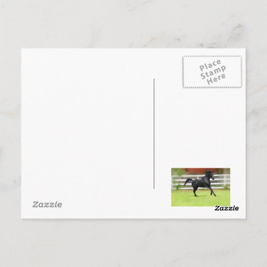 Black Arabian Stallion Briefkaart (Achterkant)