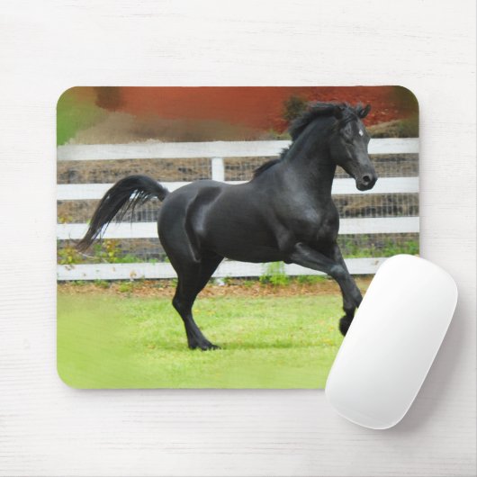 Black Arabian Stallion Muismat (Met muis)