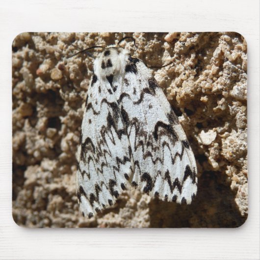 Black Arches Moth Mouse Mat Muismat (Voorkant)