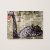 Black Australian Swans Legpuzzel (Horizontaal)