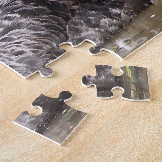 Black Australian Swans Legpuzzel (Zijkant)