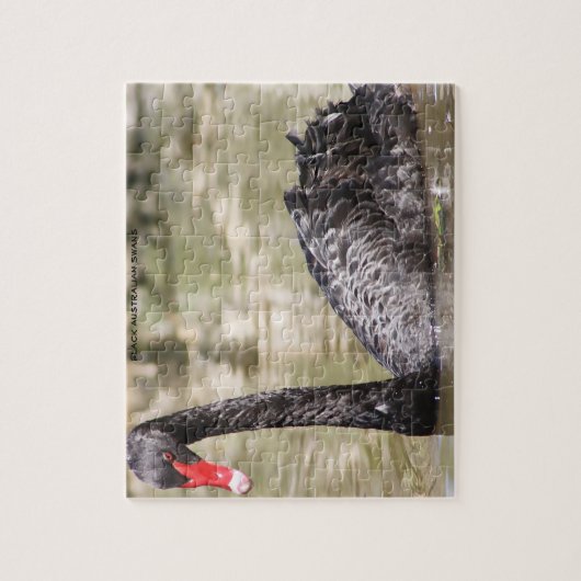 Black Australian Swans Legpuzzel (Verticaal)