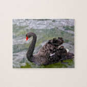 Black Australian Swans Legpuzzel (Horizontaal)