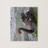 Black Australian Swans Legpuzzel (Verticaal)