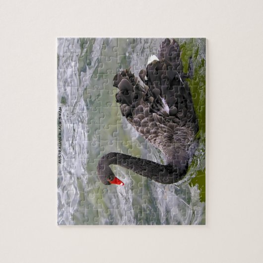 Black Australian Swans Legpuzzel (Verticaal)
