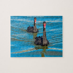 Black Australian Swans Legpuzzel