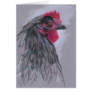 Black Australorp Hen