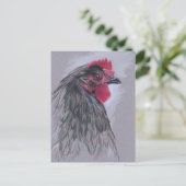 Black Australorp Hen Briefkaart (Staand voorkant)