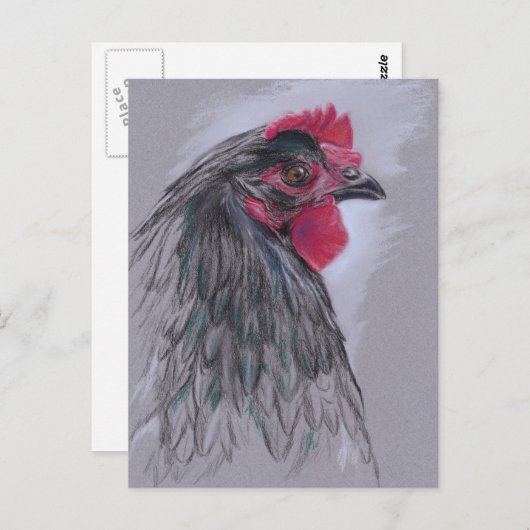 Black Australorp Hen Briefkaart (Voorkant / Achterkant)