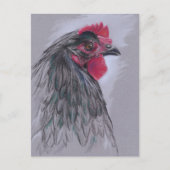 Black Australorp Hen Briefkaart (Voorkant)