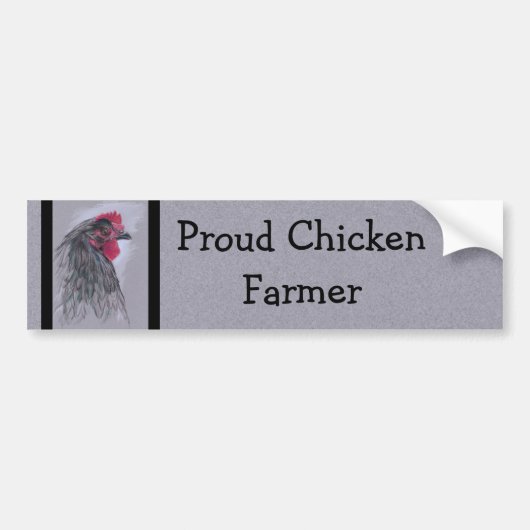 Black Australorp Hen Bumpersticker (Voorkant)