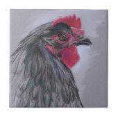 Black Australorp Hen Tegeltje (Voorkant)