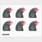 Black Australorp Hen Vierkante Sticker (Vel)
