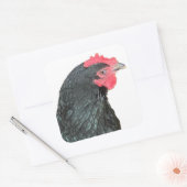 Black Australorp Hen Vierkante Sticker (Envelop)