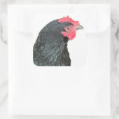 Black Australorp Hen Vierkante Sticker (Tas)